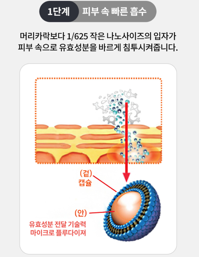 셀비엘 링클레볼루션 필톡스 주름지우개 10ml
