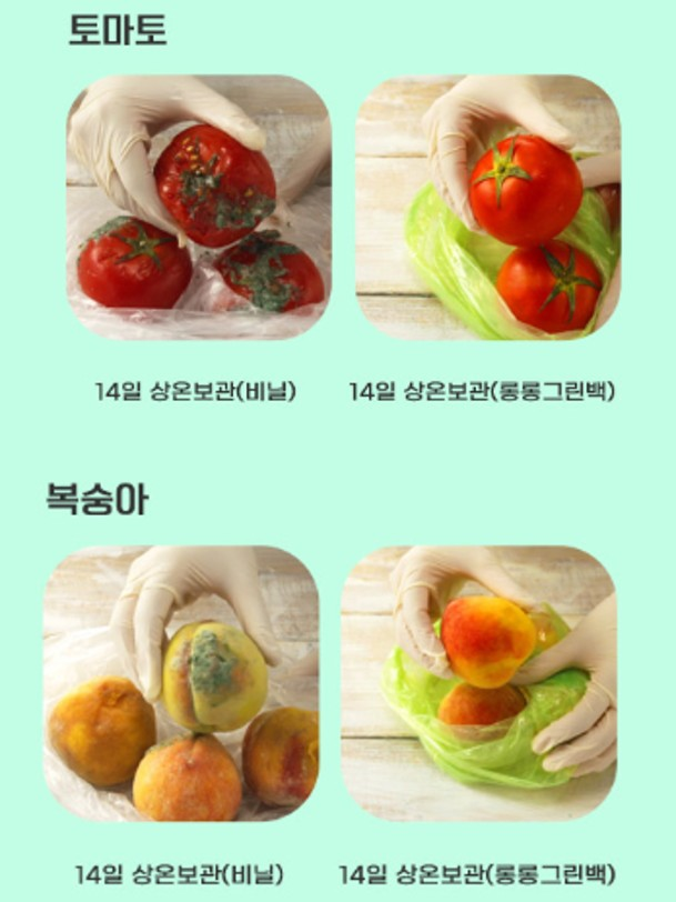 상품코드 : ASL003 저장혁명 신선보관 마법 롱롱그린백