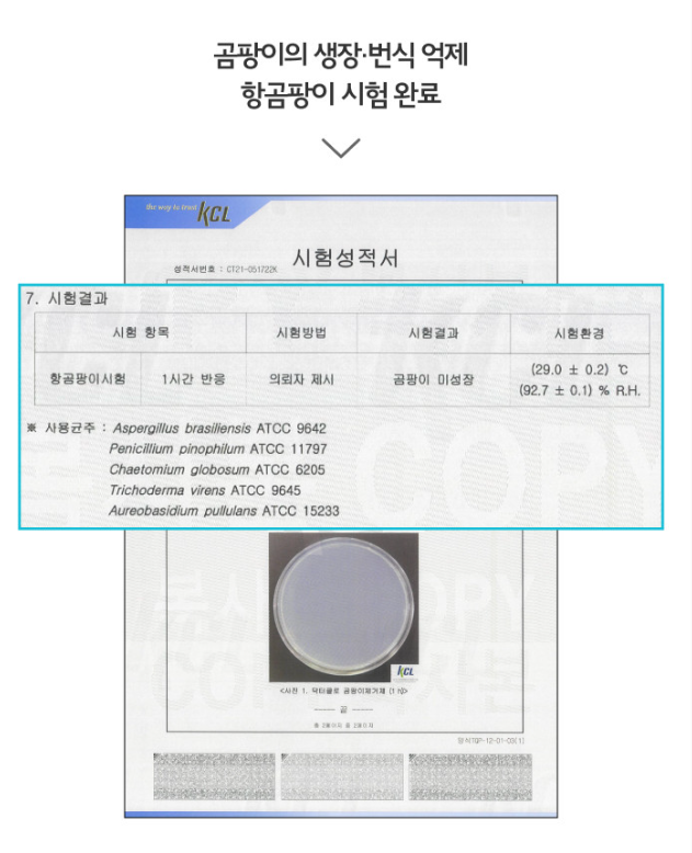 청소연구소 청소전문가 곰팡이 제거젤 200g