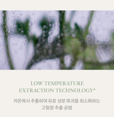 상품코드 : K628 어성초 40 약산성 딥 클렌징 두피케어 샴푸 (카톤발주용)
