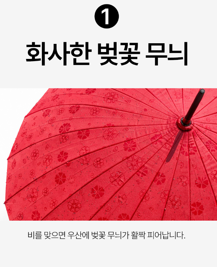 비오면 꽃이 피는 벚꽃 레인보우 고급 장우산