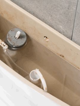 블루포인트 초강력 자동 변기 세정제 150g
