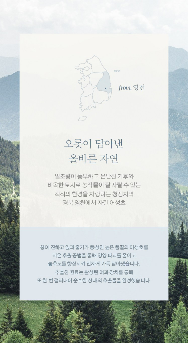 상품코드 : K628 어성초 40 약산성 딥 클렌징 두피케어 샴푸 (카톤발주용)