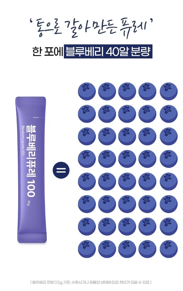 시너지엔 블루베리 퓨레 100