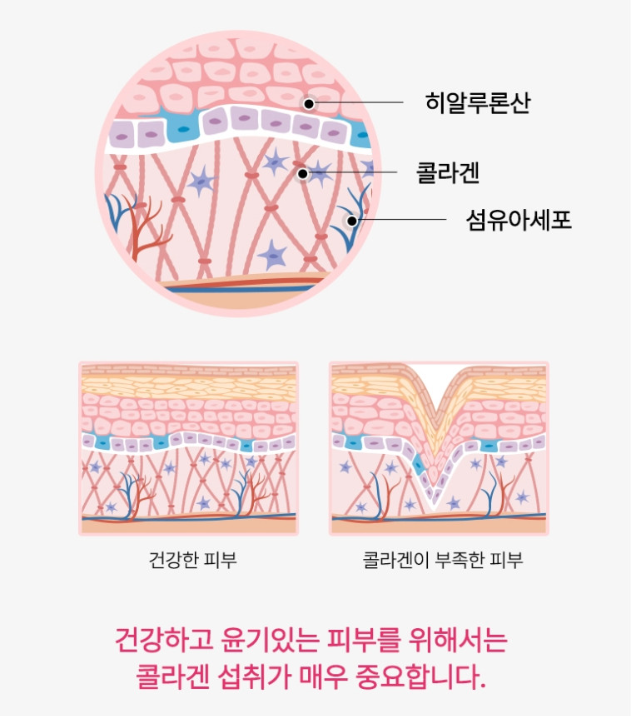 일양약품 저분자 콜라겐 소녀콜라겐 선물세트