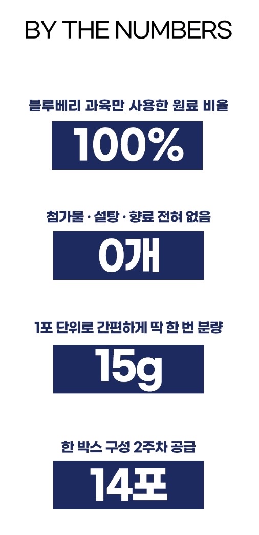 시너지엔 블루베리 퓨레 100