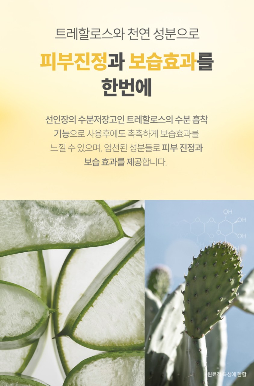 상품코드 : CO001 풋티스 발관리 풋케어 티슈 5개입