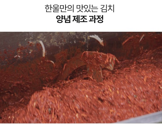 상품코드 : HAN002 왕애밥상 매운실비김치 500g