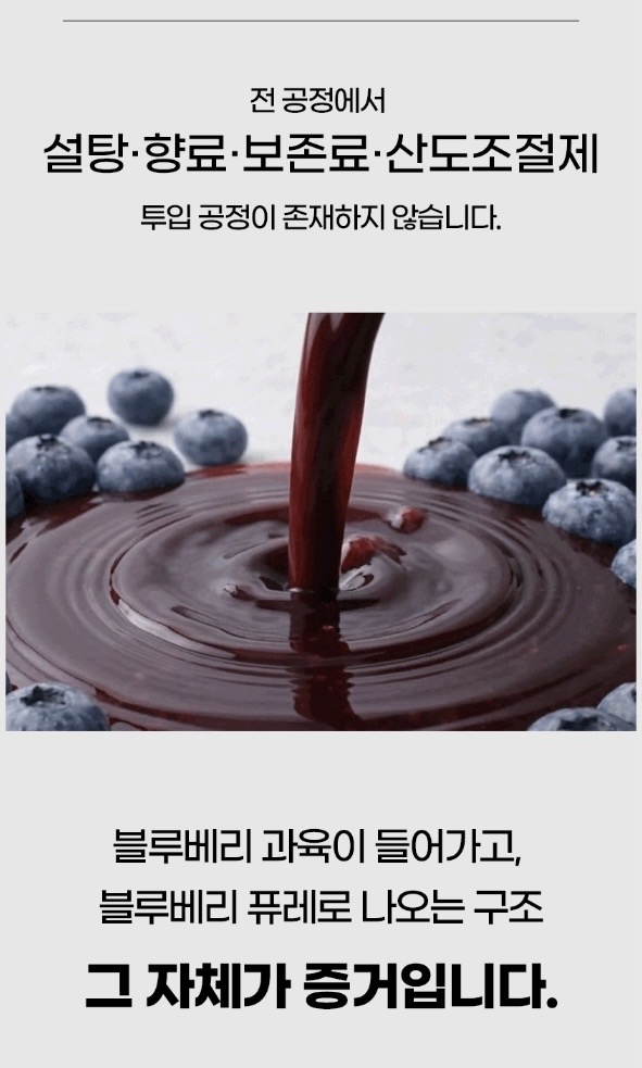 시너지엔 블루베리 퓨레 100