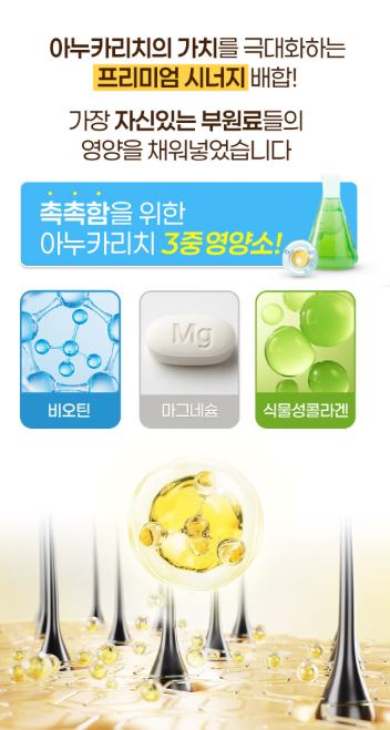 아누카리치 타블렛 비오틴&맥주효모 60정
