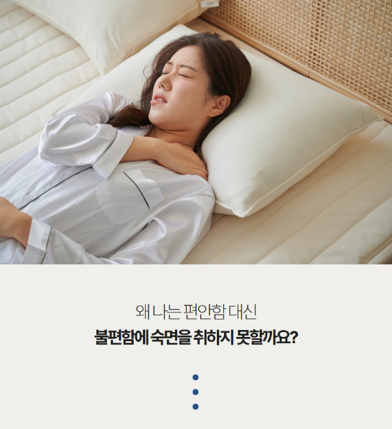 슈미트 고운숨 경추베개 SMT-PW1000