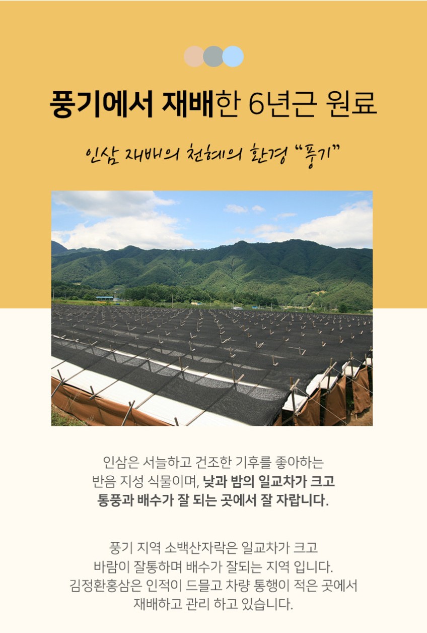 상품코드 : KJH008 [김정환 홍삼] 홍삼으로 에너지타임 30포 (쇼핑백)