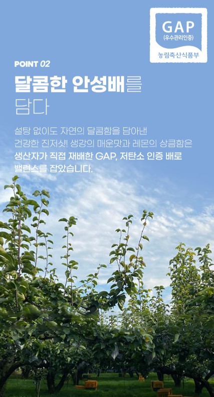 상품코드 : TK011 [청숨] 진저레몬샷 파이토 에너지 주스 360ml
