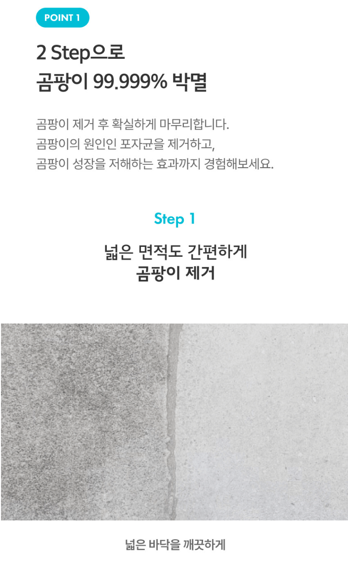 청소연구소 청소전문 곰팡이 제거제 400ml