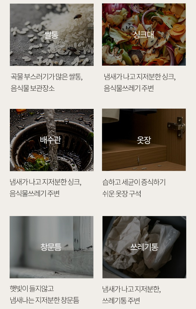 온다숲 계피스프레이 탈취제 250ml