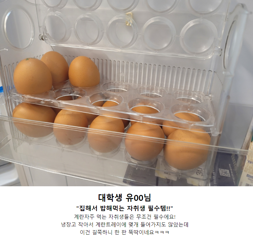 상품코드 : K0310 [아케이] 계란보관함