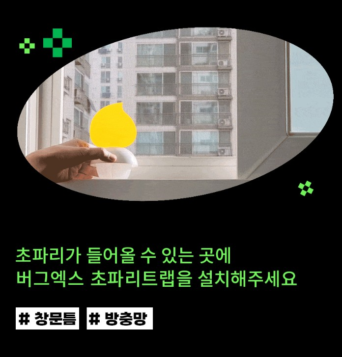 벌레잘가 버그엑스 이중 초파리트랩