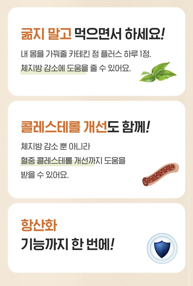 카테킨 정 플러스 1100mgX28정