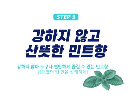 비타픽 쿨링향 캔디 100g x 24개