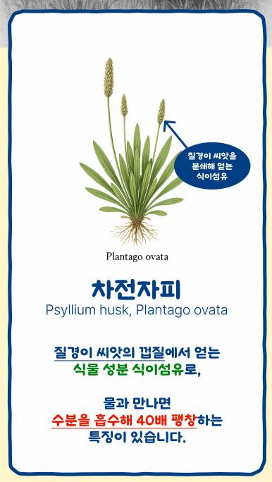 황금구렁이 오리지널 5.1g × 30포