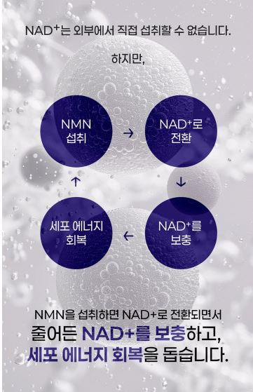 쁘띠 엔엠엔C 이너뷰티 NMN