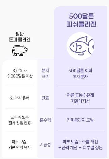 쁘띠 엔엠엔C 이너뷰티 NMN