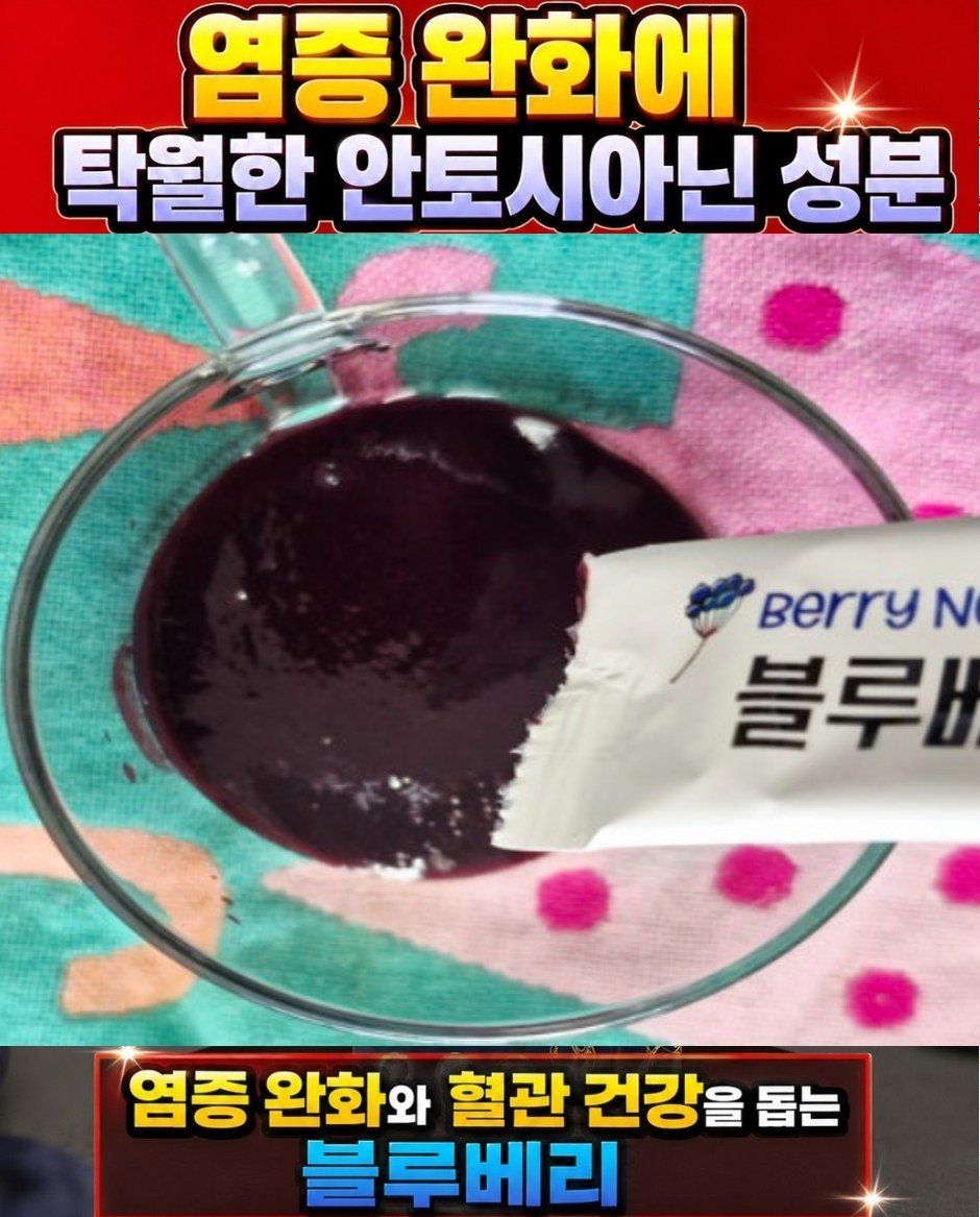 네세서리 블루베리퓨레 100 (20g*14포)