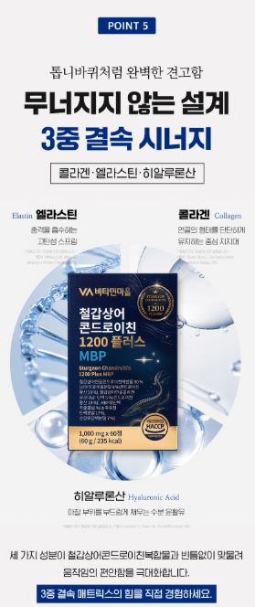 철갑상어 콘드로이친 1200 플러스 MBP 1,000mgX60정