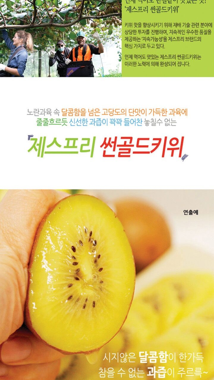 상품코드 : GLB064 제스프리 썬골드키위 20입 선물세트