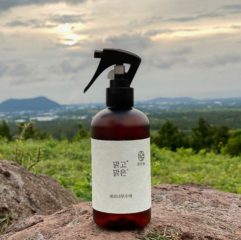 온다숲 계피스프레이 탈취제 250ml