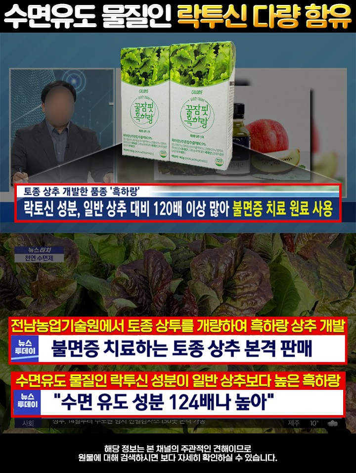 만성 불면증해결 꿀잠핏 흑하랑 10g * 14포