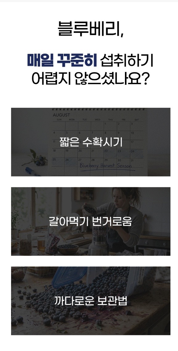 시너지엔 블루베리 퓨레 100