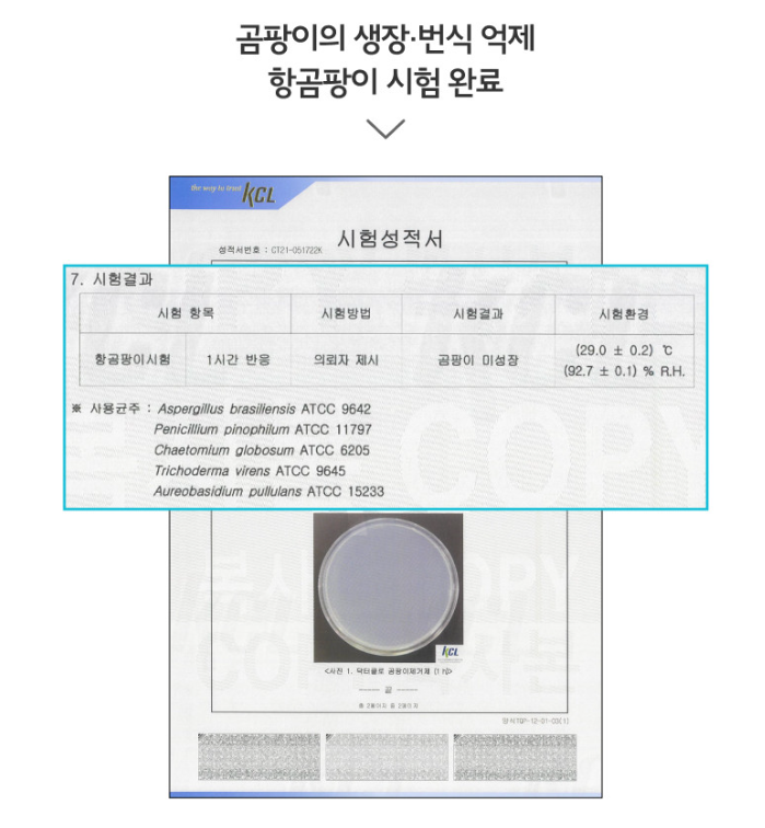 청소연구소 청소전문 곰팡이 제거제 400ml