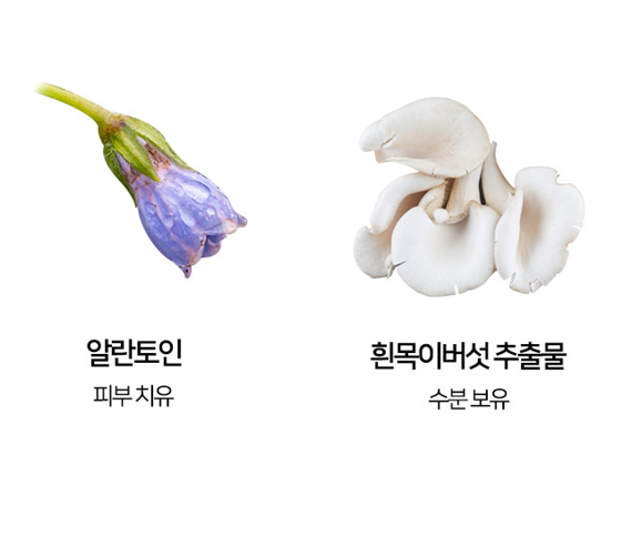 상품코드 : MB018 닥터썸 워터드롭+ 캡슐 앰플 100ml
