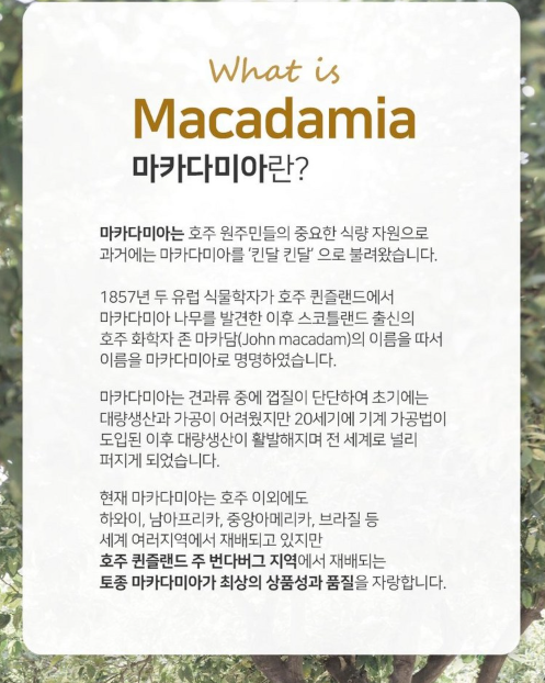 호주산 골든 마카다미아 명품 선물세트 (125gx3입)