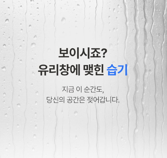 (신형) 클린뽀송타임 옷걸이형 대용량 습기제거제 220g 10개입 1세트