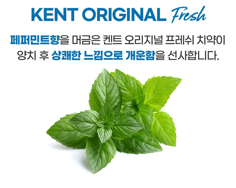 상품코드 : WC025 켄트 치약2개+여행용키트(치약2+칫솔)