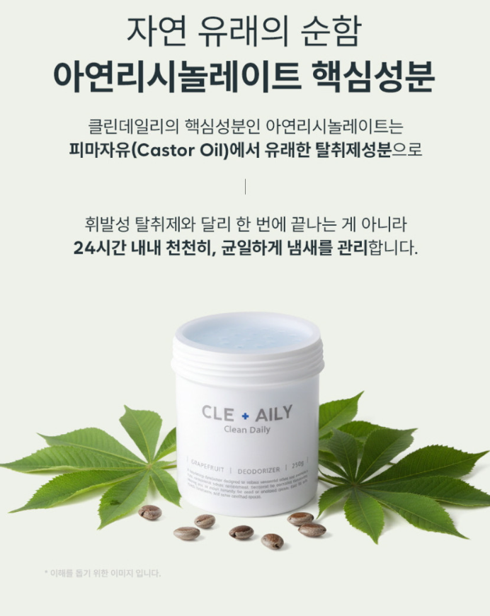 클린데일리 냄새싹흡착 탈취제 자몽향 250g