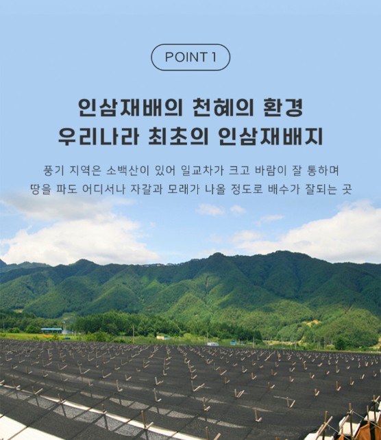 상품코드 : KJH006 [김정환홍삼] 홍삼 더플러스 20포 (보자기 포장)