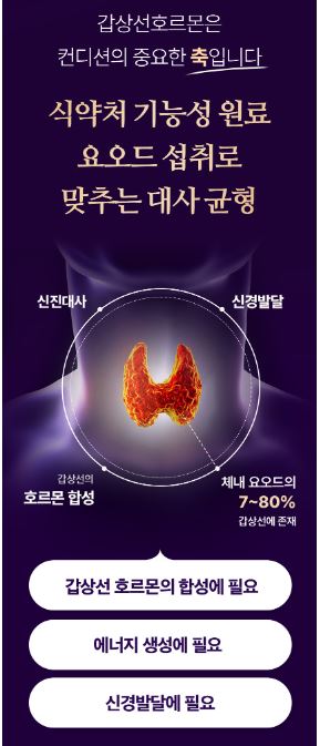 비타민마을 요오드 2400 아연 셀렌 밸런스 영양제 250mg X 90정(3개월분)