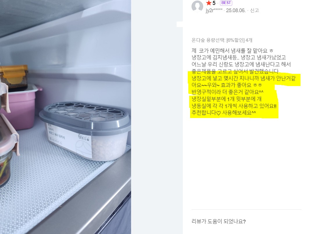 온다숲 반영구 숯10배 냉장고탈취제 300g