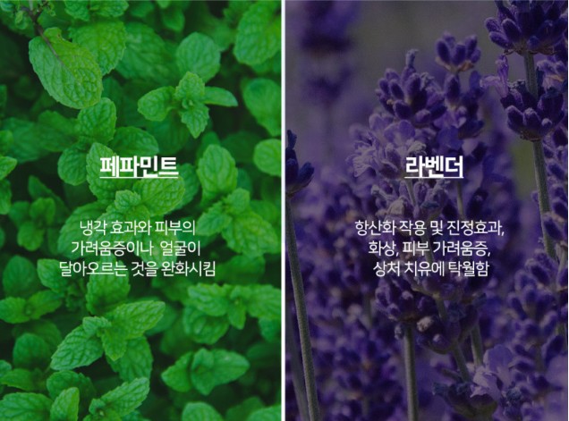 상품코드 : SPA001 수피아토 워터타월 (72 x 32cm)