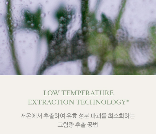 상품코드 : K629 어성초 40 약산성 모이스처 바디워시 (카톤발주용)
