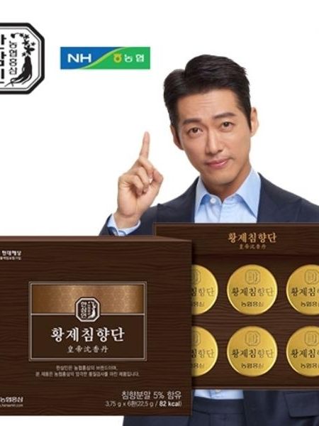 [농협 한삼인] 황제침향단 3.75g x 6환 + 쇼핑백
