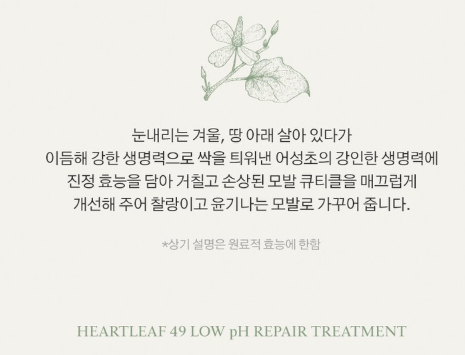 상품코드 : K630 어성초 49 약산성 리페어 트리트먼트 (카톤발주용)