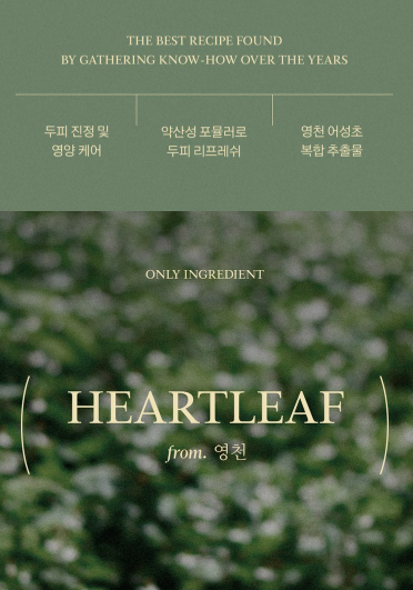 상품코드 : K628 어성초 40 약산성 딥 클렌징 두피케어 샴푸 (카톤발주용)