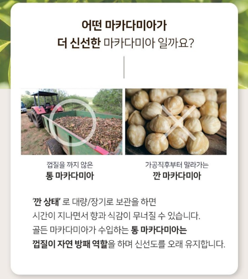 호주산 골든 마카다미아 명품 선물세트 (125gx3입)