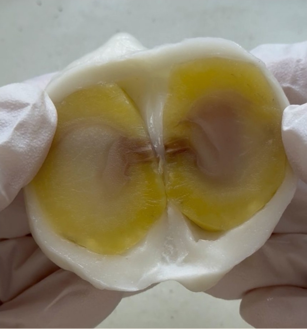 알밤통째로 말랑든든 공주알밤송편 1봉 600g