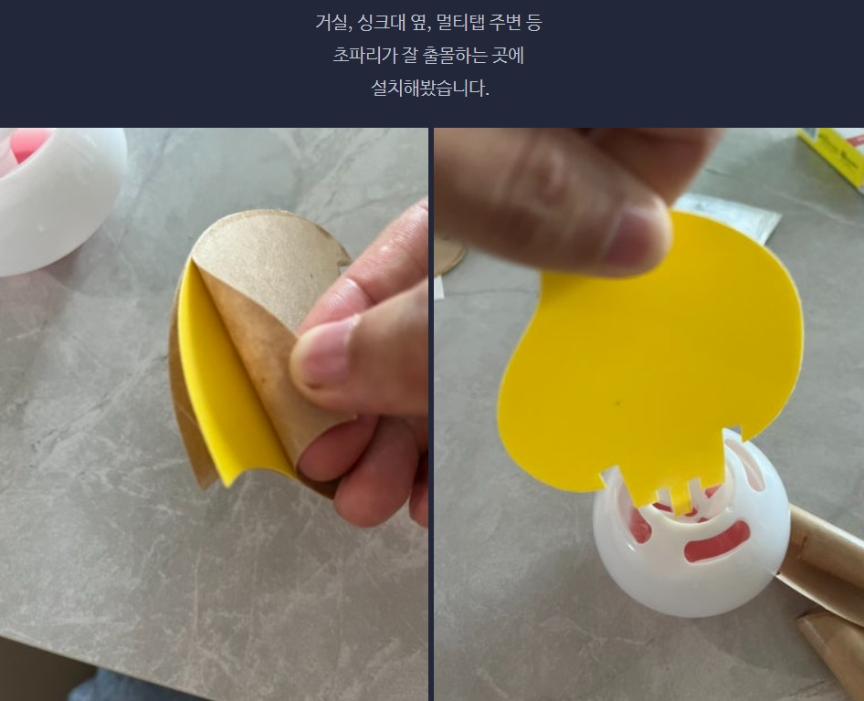 벌레잘가 버그엑스 이중 초파리트랩