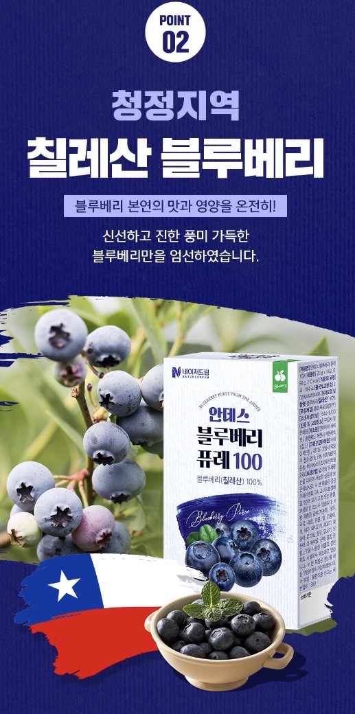 안데스 블루베리 퓨레100 20g 14포 1박스